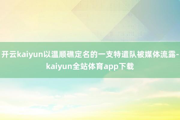 开云kaiyun以温顺礁定名的一支特遣队被媒体流露-kaiyun全站体育app下载