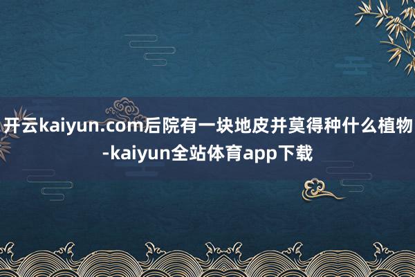 开云kaiyun.com后院有一块地皮并莫得种什么植物-kaiyun全站体育app下载