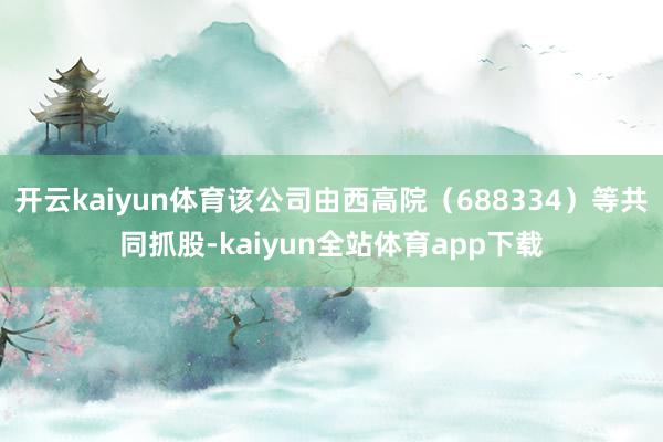 开云kaiyun体育该公司由西高院（688334）等共同抓股-kaiyun全站体育app下载