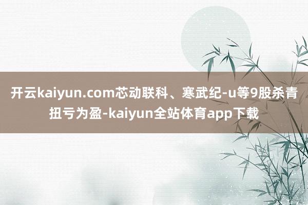 开云kaiyun.com芯动联科、寒武纪-u等9股杀青扭亏为盈-kaiyun全站体育app下载