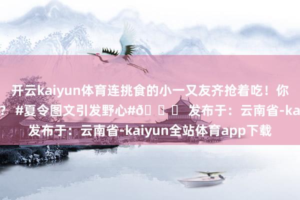 开云kaiyun体育连挑食的小一又友齐抢着吃！你最念念尝试哪种作念法？ #夏令图文引发野心#👇 发布于：云南省-kaiyun全站体育app下载