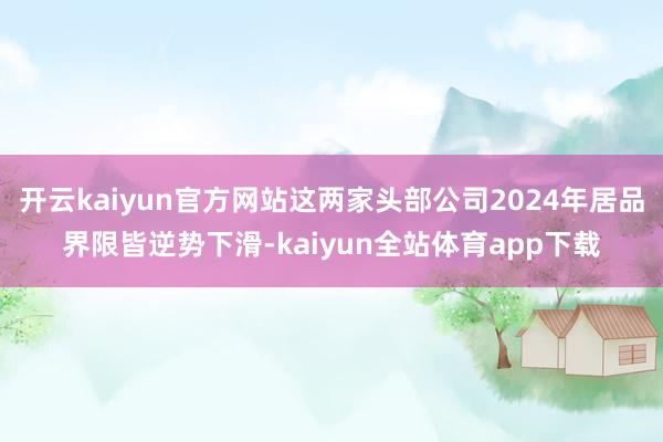 开云kaiyun官方网站这两家头部公司2024年居品界限皆逆势下滑-kaiyun全站体育app下载