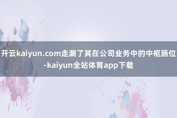 开云kaiyun.com走漏了其在公司业务中的中枢肠位-kaiyun全站体育app下载